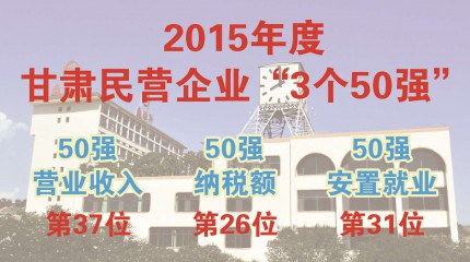  巍雅斯躋身甘肅2015年度民營企業(yè)“三個(gè)50強(qiáng)”