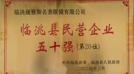  臨洮公司入列2023年度臨洮縣民營企業(yè)50強及行業(yè)10強榜單